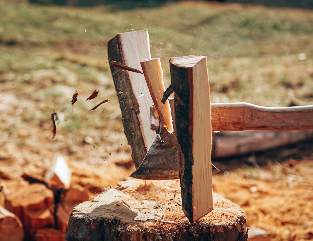 Czy kradzieże drewna w Polsce to już prawdziwa plaga?
