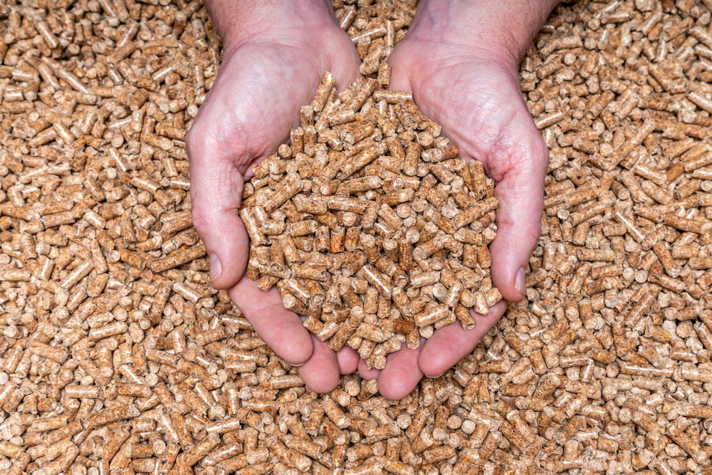 Dłonie trzymające pellet