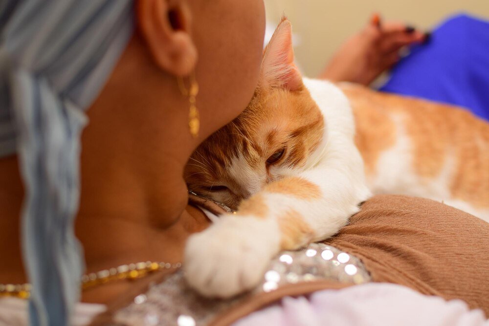 Dlaczego koty mruczą – co oznacza ich mruczenie?